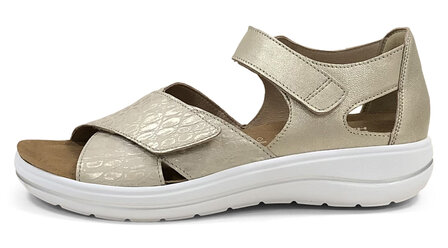 Hartjes 132.2101/41 40.40